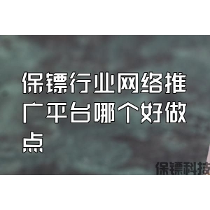 保镖行业网络推广平台哪个好做点