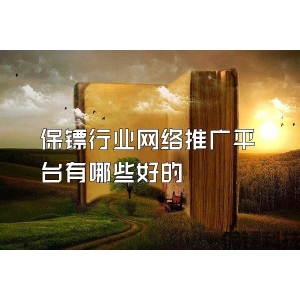 保镖行业网络推广平台有哪些好的