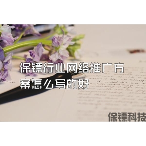 保镖行业网络推广方案怎么写的好
