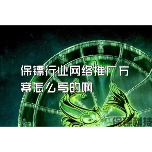保镖行业网络推广方案怎么写的啊