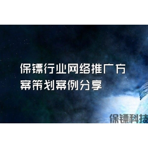 保镖行业网络推广方案策划案例分享