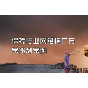 保镖行业网络推广方案策划案例