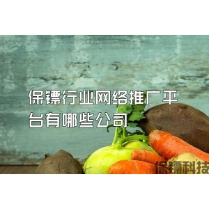保镖行业网络推广平台有哪些公司