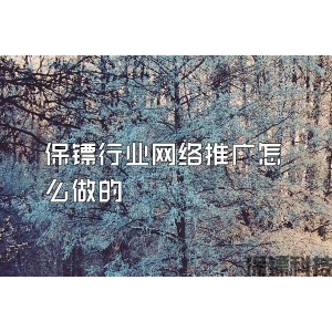 保镖行业网络推广怎么做的