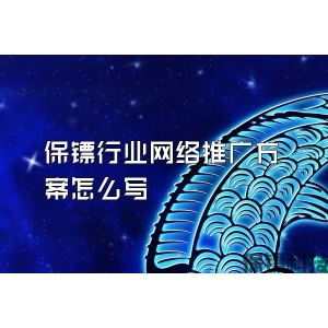 保镖行业网络推广方案怎么写