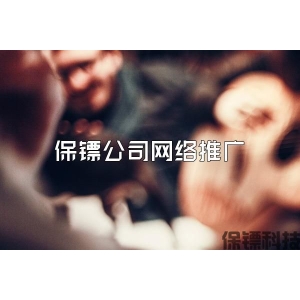 保镖公司网络推广