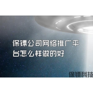 保镖公司网络推广平台怎么样做的好