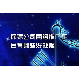 保镖公司网络推广平台有哪些好处呢