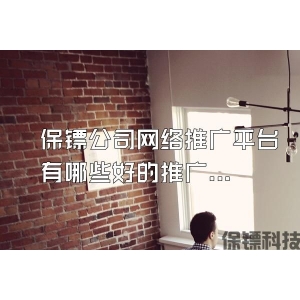 保镖公司网络推广平台有哪些好的推广方式
