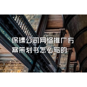 保镖公司网络推广方案策划书怎么写的