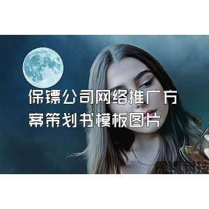 保镖公司网络推广方案策划书模板图片