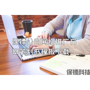 保镖公司网络推广方案策划书模板下载
