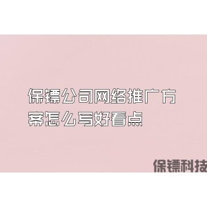 保镖公司网络推广方案怎么写好看点