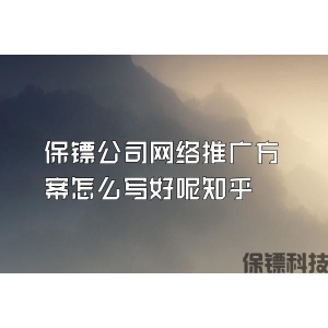 保镖公司网络推广方案怎么写好呢知乎