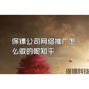 保镖公司网络推广怎么做的呢知乎