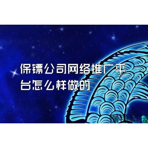 保镖公司网络推广平台怎么样做的