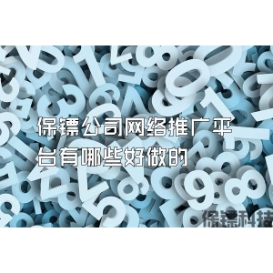 保镖公司网络推广平台有哪些好做的