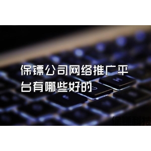 保镖公司网络推广平台有哪些好的