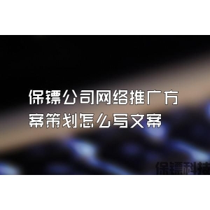 保镖公司网络推广方案策划怎么写文案