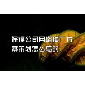 保镖公司网络推广方案策划怎么写的