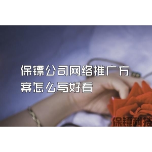 保镖公司网络推广方案怎么写好看