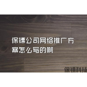 保镖公司网络推广方案怎么写的啊