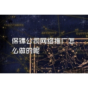 保镖公司网络推广怎么做的呢