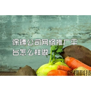 保镖公司网络推广平台怎么样做