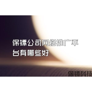 保镖公司网络推广平台有哪些好