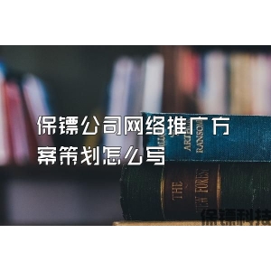 保镖公司网络推广方案策划怎么写