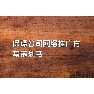 保镖公司网络推广方案策划书