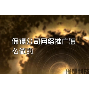 保镖公司网络推广怎么做的