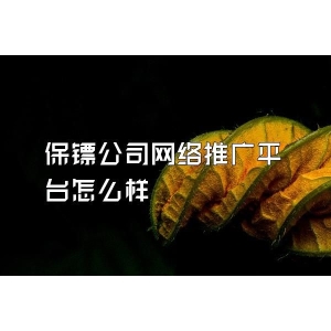 保镖公司网络推广平台怎么样