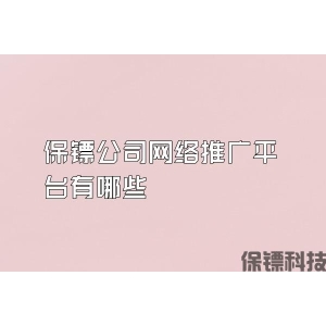 保镖公司网络推广平台有哪些