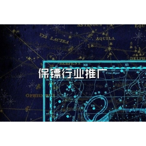 保镖行业推广