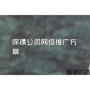 保镖公司网络推广方案