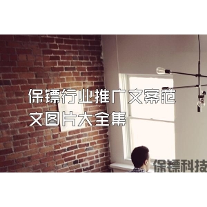 保镖行业推广文案范文图片大全集
