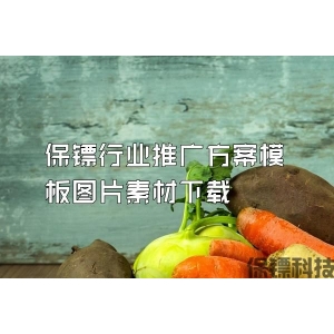 保镖行业推广方案模板图片素材下载