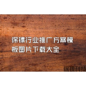 保镖行业推广方案模板图片下载大全