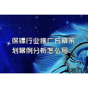 保镖行业推广方案策划案例分析怎么写
