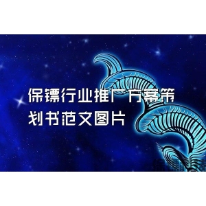 保镖行业推广方案策划书范文图片