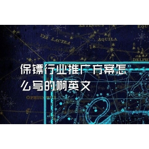 保镖行业推广方案怎么写的啊英文