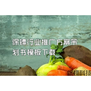 保镖行业推广方案策划书模板下载
