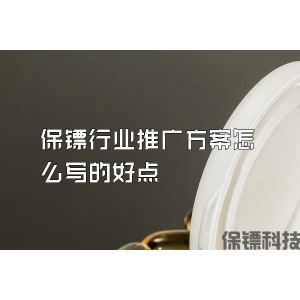 保镖行业推广方案怎么写的好点