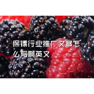 保镖行业推广文案怎么写啊英文