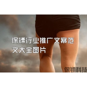 保镖行业推广文案范文大全图片