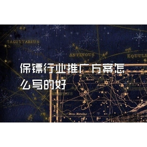 保镖行业推广方案怎么写的好