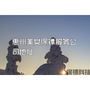 惠州美女保镖服务公司地址