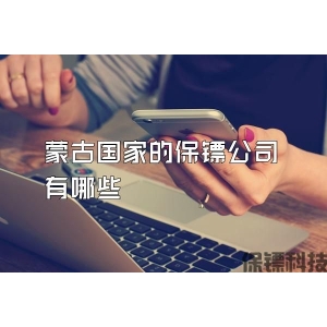 蒙古国家的保镖公司有哪些