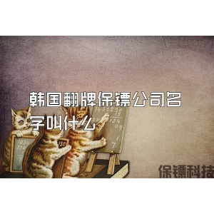 韩国翻牌保镖公司名字叫什么